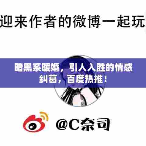 暗黑系暖婚，引人入胜的情感纠葛，百度热推！