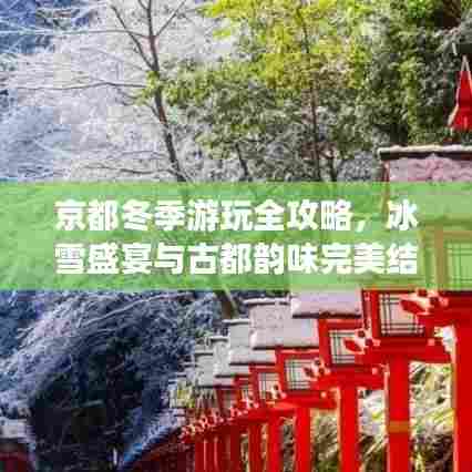 京都冬季游玩全攻略，冰雪盛宴与古都韵味完美结合！