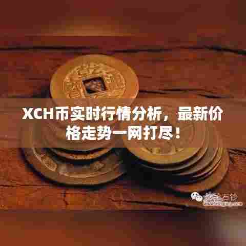 XCH币实时行情分析，最新价格走势一网打尽！