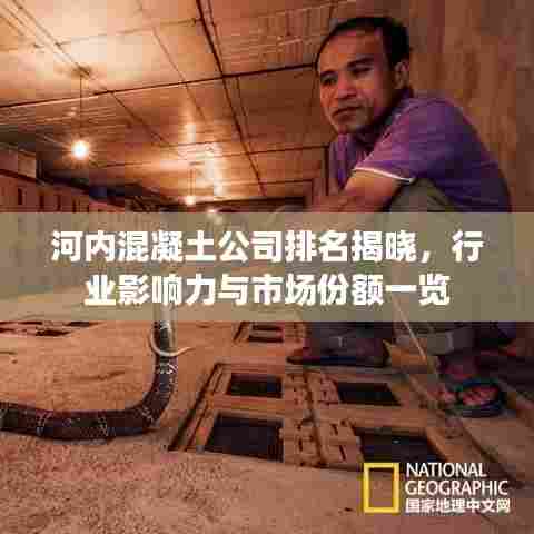 河内混凝土公司排名揭晓,行业影响力与市场份额一览