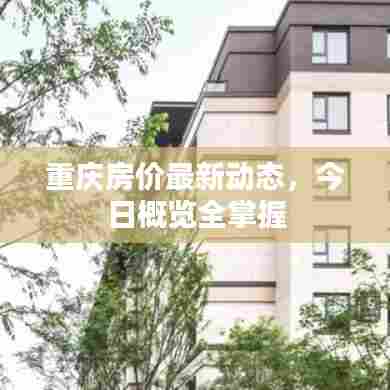 重庆房价最新动态，今日概览全掌握