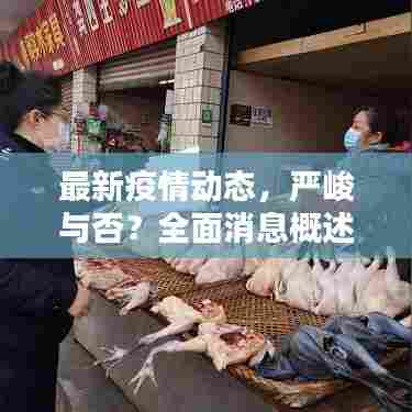最新疫情动态，严峻与否？全面消息概述