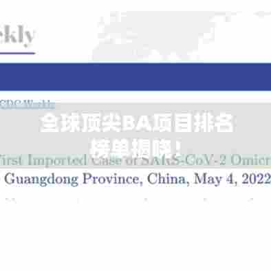 全球顶尖BA项目排名榜单揭晓！