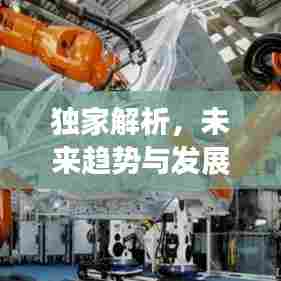 独家解析,未来趋势与发展前景展望
