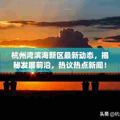 杭州湾滨海新区最新动态，揭秘发展前沿，热议热点新闻！