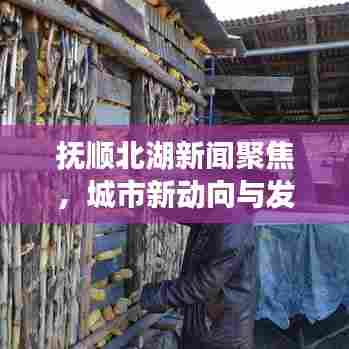 抚顺北湖新闻聚焦,城市新动向与发展活力
