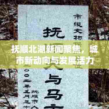 抚顺北湖新闻聚焦,城市新动向与发展活力