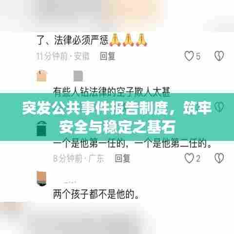 突发公共事件报告制度，筑牢安全与稳定之基石