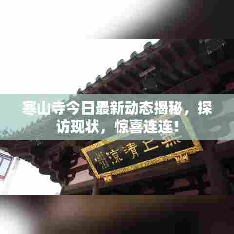 寒山寺今日最新动态揭秘,探访现状,惊喜连连!