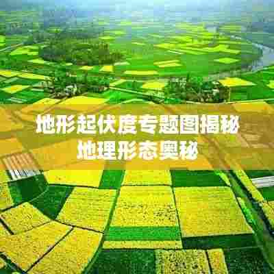 地形起伏度专题图揭秘地理形态奥秘