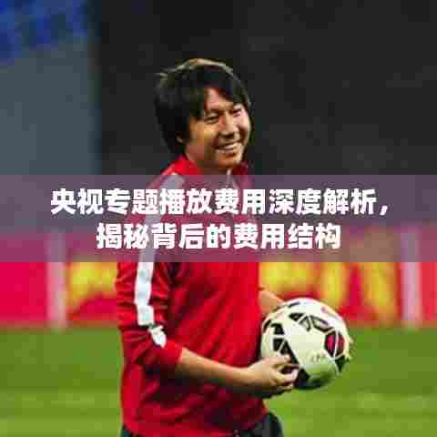 央视专题播放费用深度解析，揭秘背后的费用结构