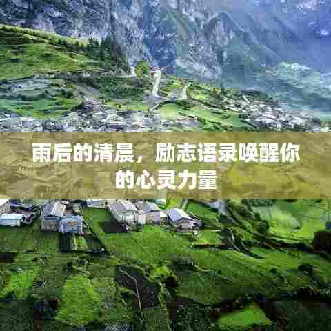雨后的清晨，励志语录唤醒你的心灵力量