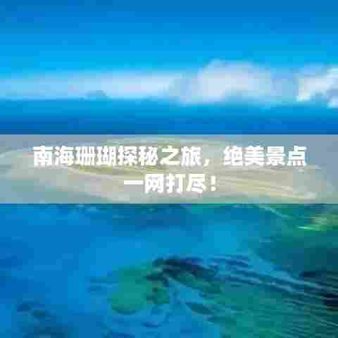 南海珊瑚探秘之旅，绝美景点一网打尽！