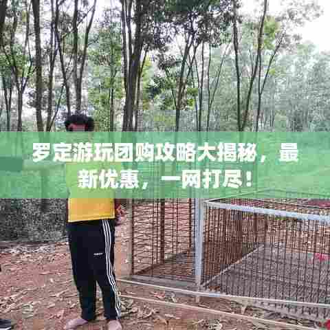 罗定游玩团购攻略大揭秘，最新优惠，一网打尽！