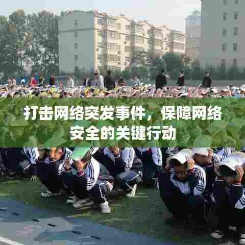 打击网络突发事件,保障网络安全的关键行动