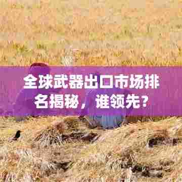 全球武器出口市场排名揭秘，谁领先？