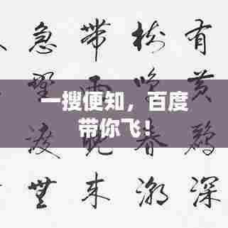 一搜便知，百度带你飞！