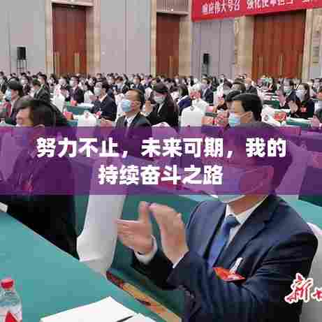 努力不止，未来可期，我的持续奋斗之路
