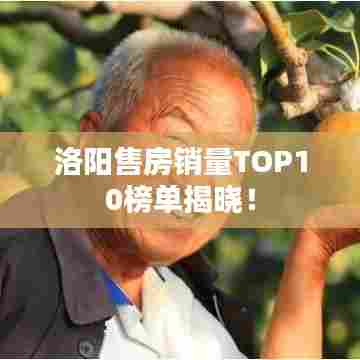 洛阳售房销量TOP10榜单揭晓！
