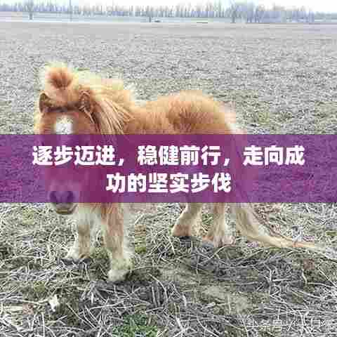 高人雅士 第5页