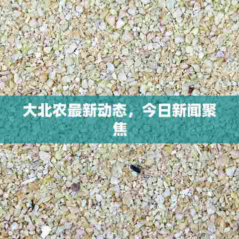 大北农最新动态，今日新闻聚焦