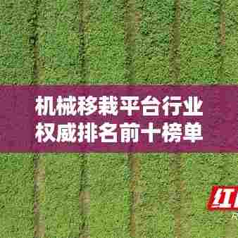 手不释卷 第7页