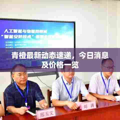 青橙最新动态速递，今日消息及价格一览