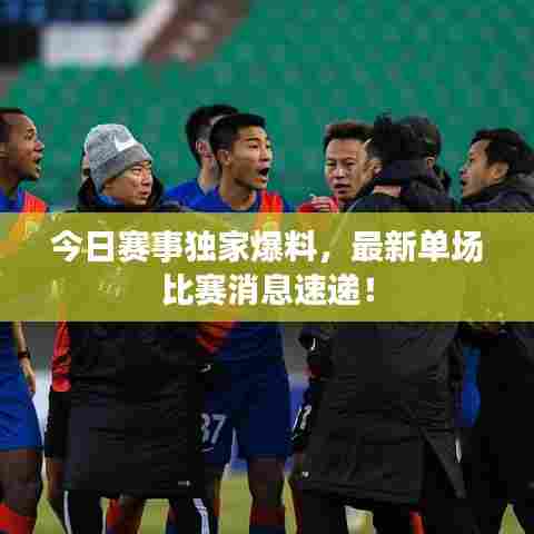今日赛事独家爆料,最新单场比赛消息速递!