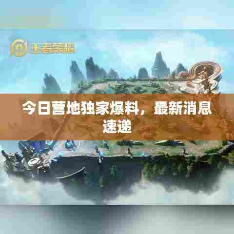 今日营地独家爆料，最新消息速递