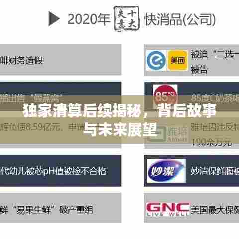 独家清算后续揭秘,背后故事与未来展望