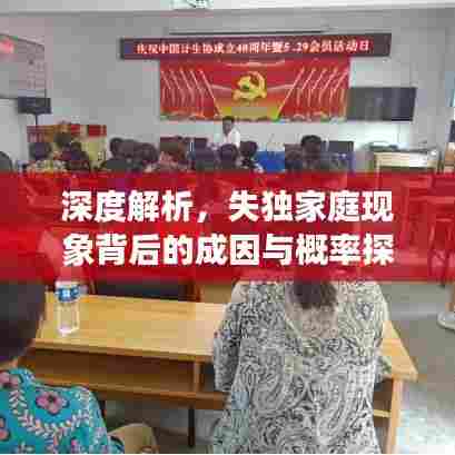 深度解析,失独家庭现象背后的成因与概率探讨