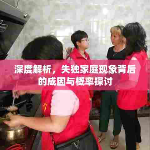 深度解析,失独家庭现象背后的成因与概率探讨