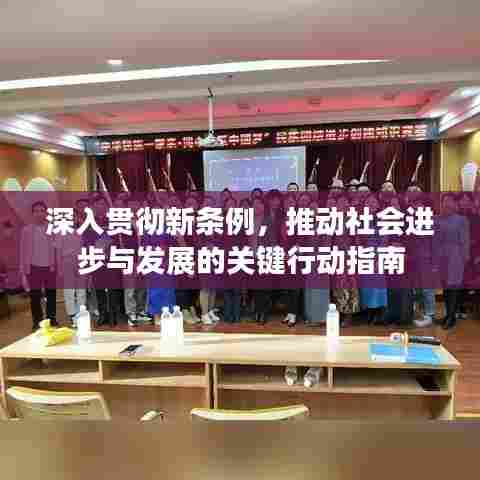 深入贯彻新条例,推动社会进步与发展的关键行动指南