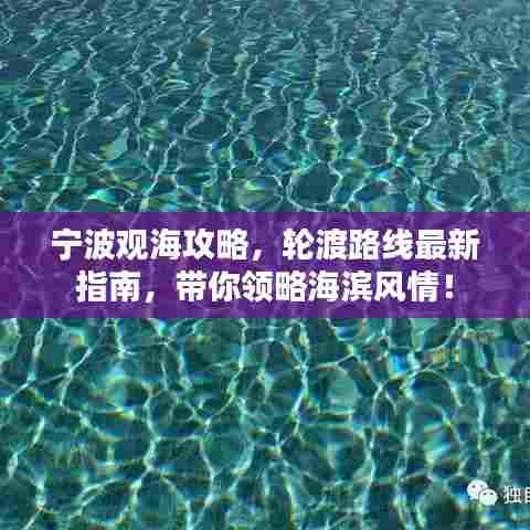 宁波观海攻略，轮渡路线最新指南，带你领略海滨风情！