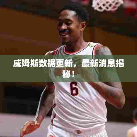 威姆斯数据更新，最新消息揭秘！