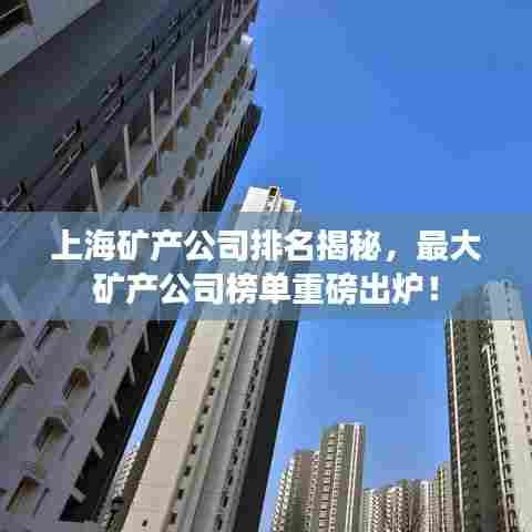 上海矿产公司排名揭秘，最大矿产公司榜单重磅出炉！