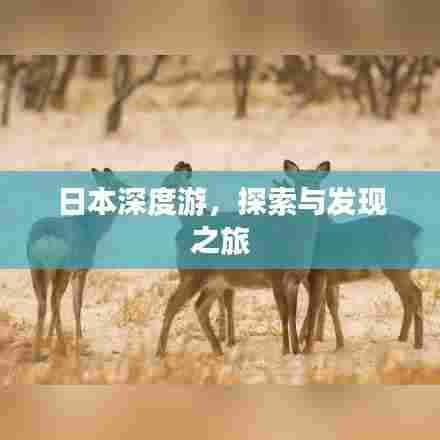 日本深度游,探索与发现之旅