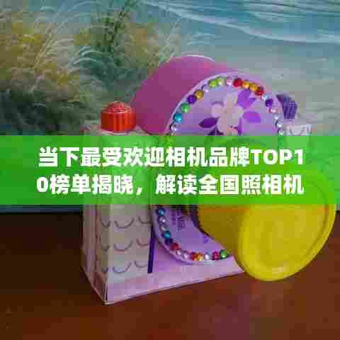 当下最受欢迎相机品牌TOP10榜单揭晓，解读全国照相机排名前十的品牌