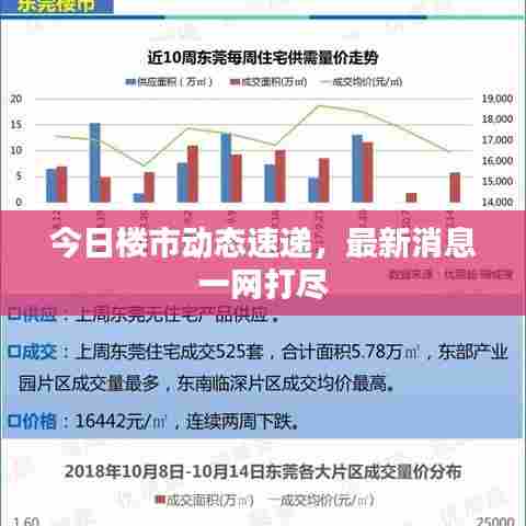 今日楼市动态速递，最新消息一网打尽
