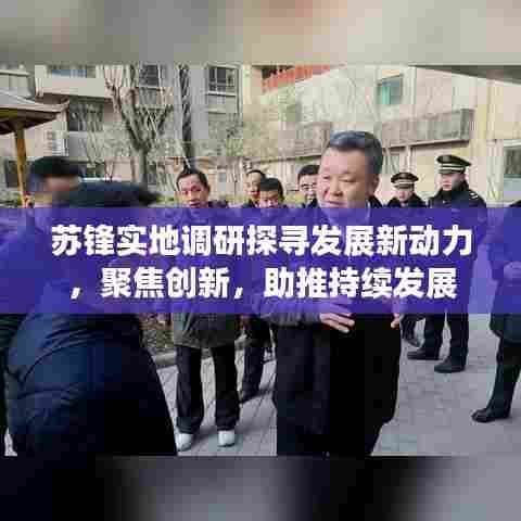 苏锋实地调研探寻发展新动力，聚焦创新，助推持续发展