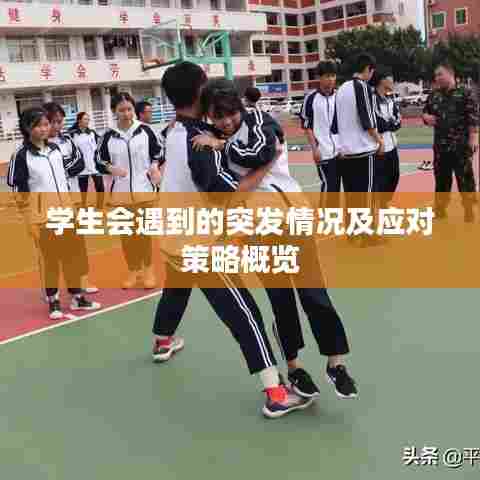 学生会遇到的突发情况及应对策略概览