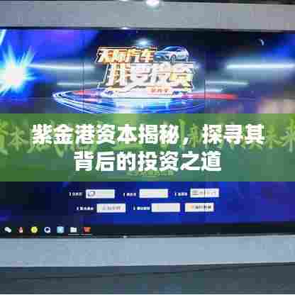 紫金港资本揭秘，探寻其背后的投资之道