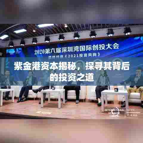 紫金港资本揭秘,探寻其背后的投资之道