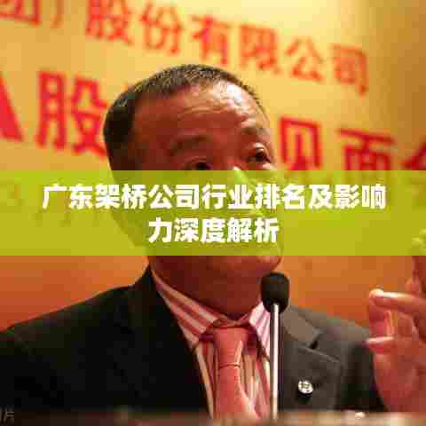 广东架桥公司行业排名及影响力深度解析
