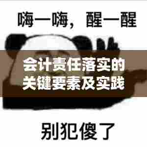 会计责任落实的关键要素及实践策略解析