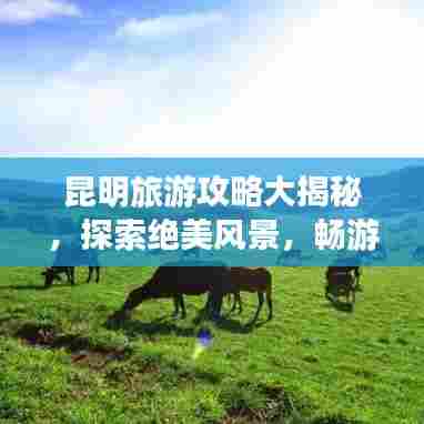 昆明旅游攻略大揭秘，探索绝美风景，畅游无限魅力！