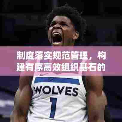 制度落实规范管理，构建有序高效组织基石的秘诀