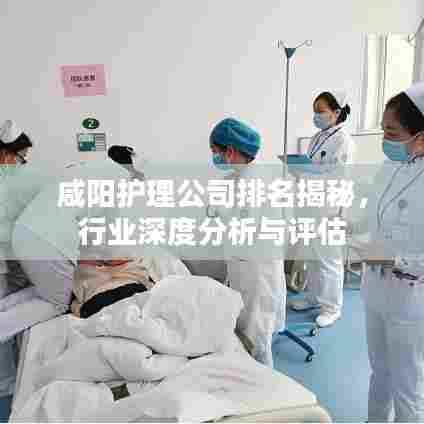 咸阳护理公司排名揭秘，行业深度分析与评估