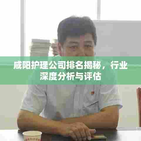 咸阳护理公司排名揭秘,行业深度分析与评估