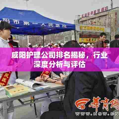 咸阳护理公司排名揭秘,行业深度分析与评估